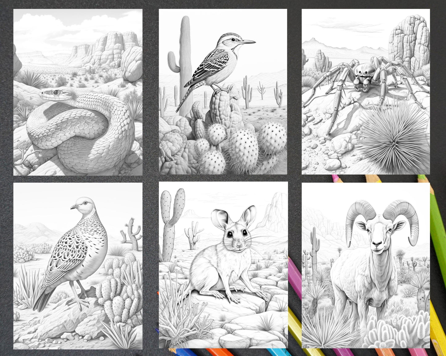 43 Desert Animals Grayscale Coloring Pages Printable for Adults, PDF File Instant Download