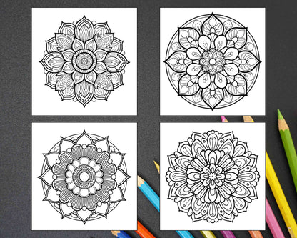 250 Mandala Adult Coloring Pages Vol.3