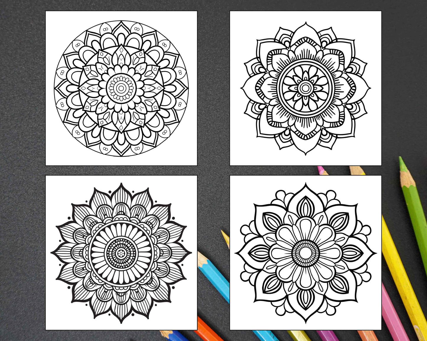 250 Mandala Adult Coloring Pages Vol.1