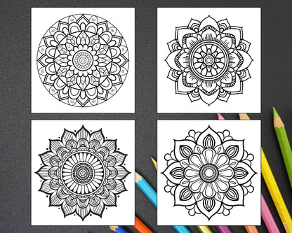 250 Mandala Adult Coloring Pages Vol.1