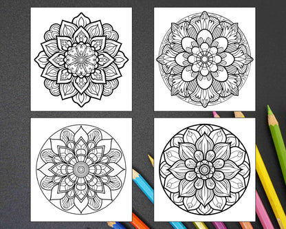 250 Mandala Adult Coloring Pages Vol.4