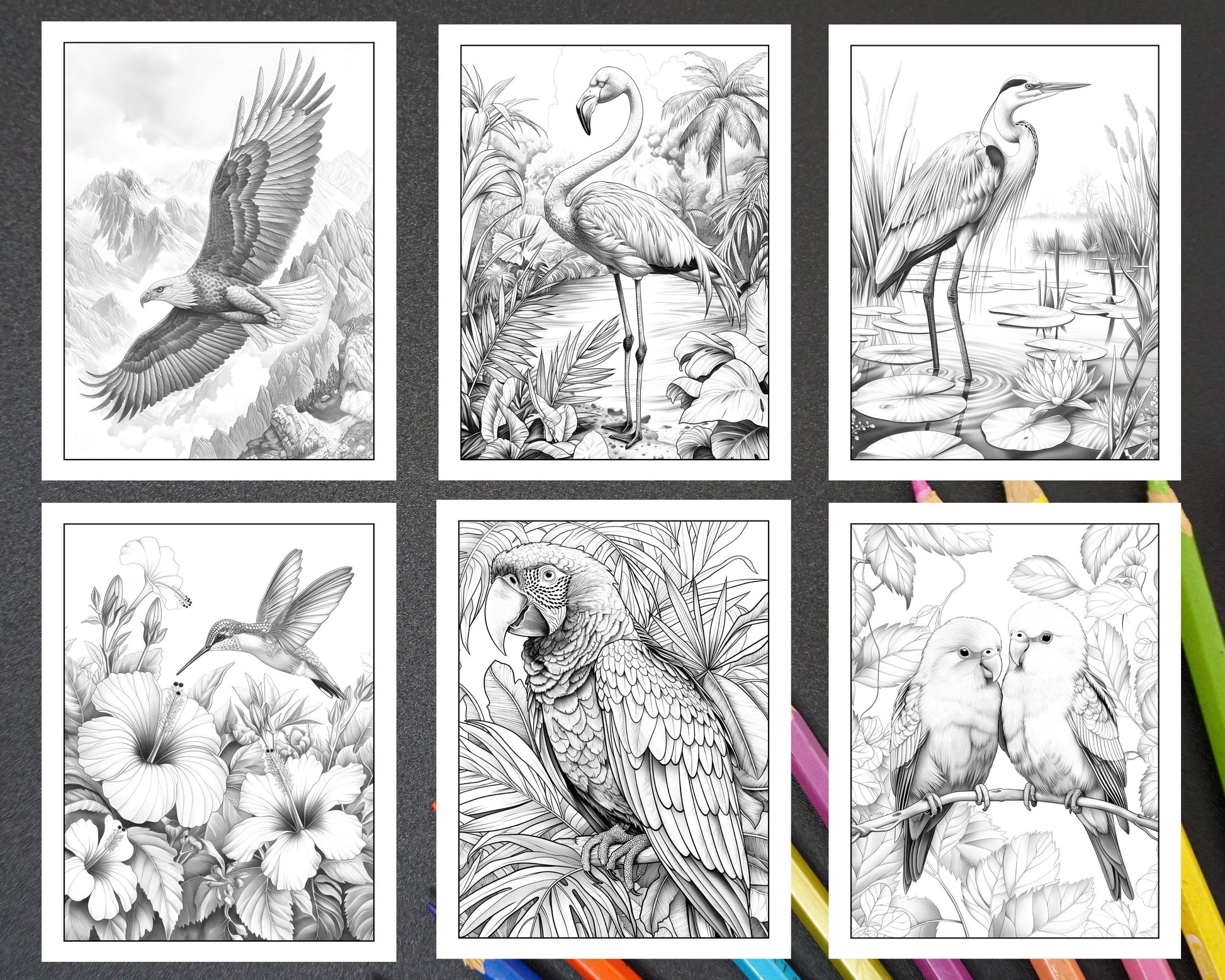 50 Beautiful Birds Adult Coloring Pages Printable PDF Instant Download