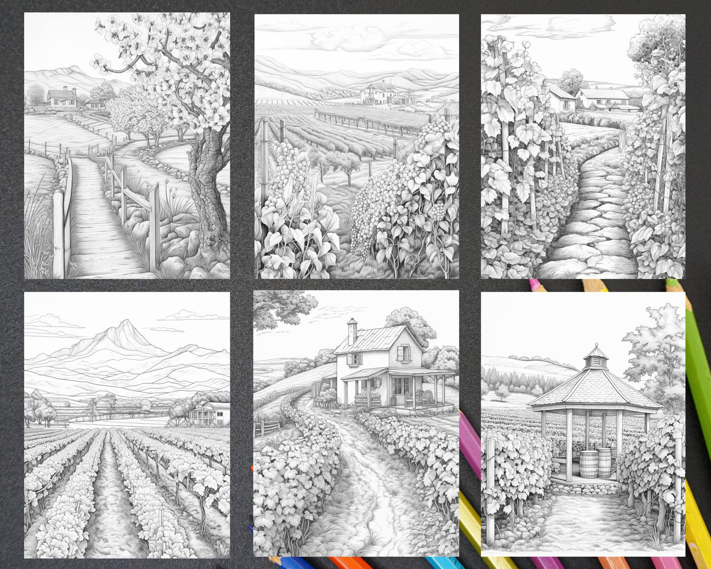 40 Spring Vineyard Grayscale Adult Coloring Pages, Printable PDF Instant Download