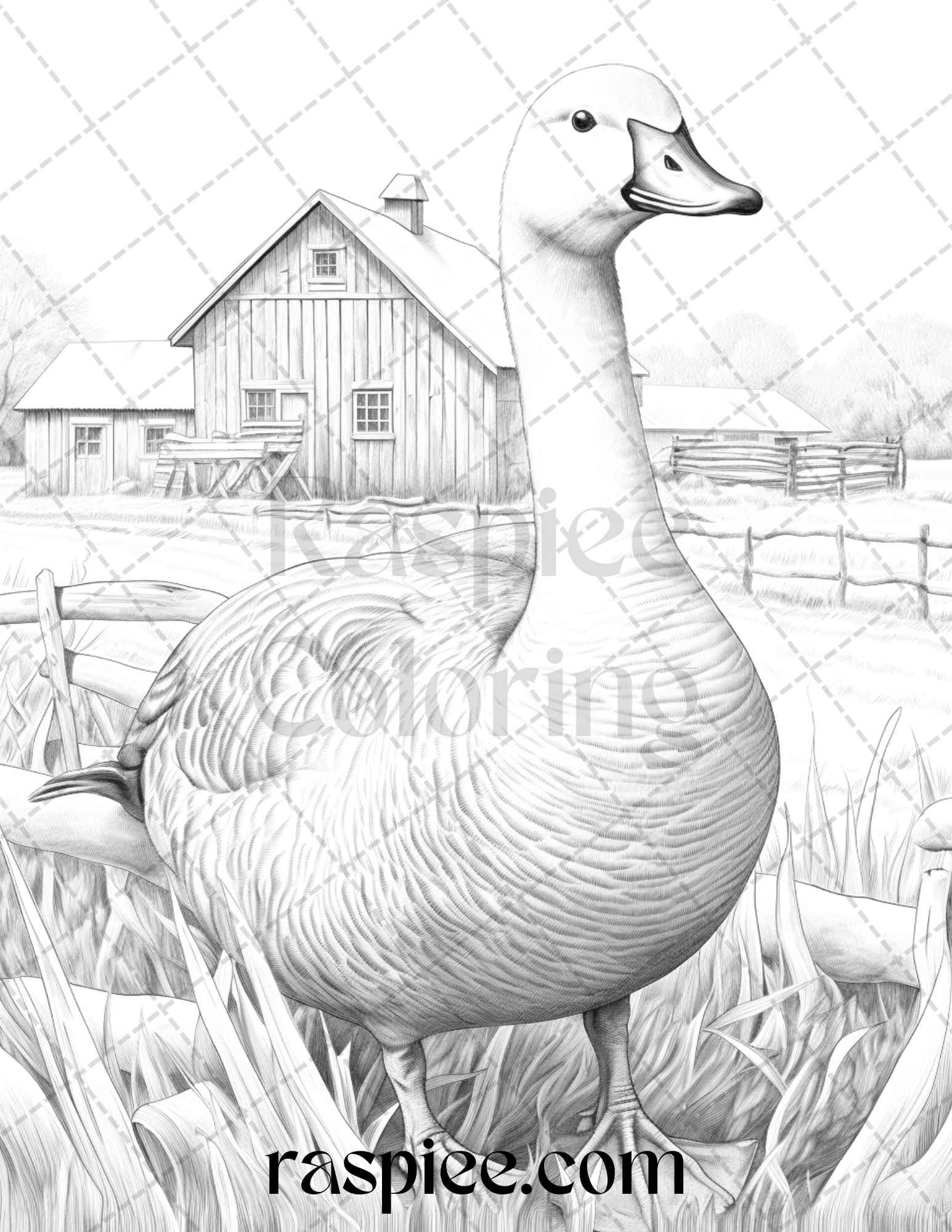 40 Farmstead Serenity Grayscale Coloring Pages Printable for Adults, PDF File Instant Download