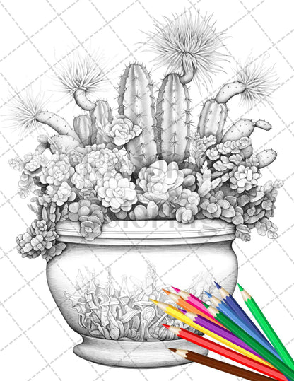 40 Charming Cactus Pots Grayscale Coloring Pages Printable for Adults, PDF File Instant Download