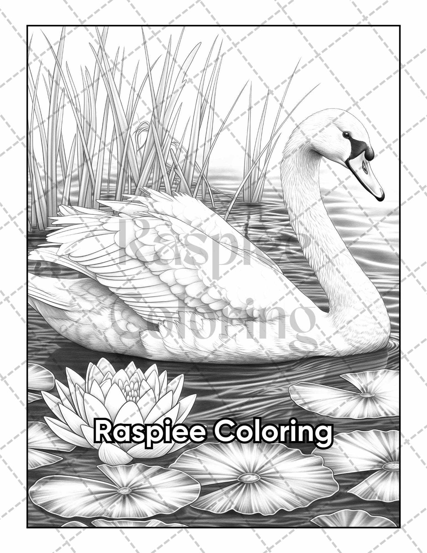 50 Beautiful Birds Adult Coloring Pages Printable PDF Instant Download