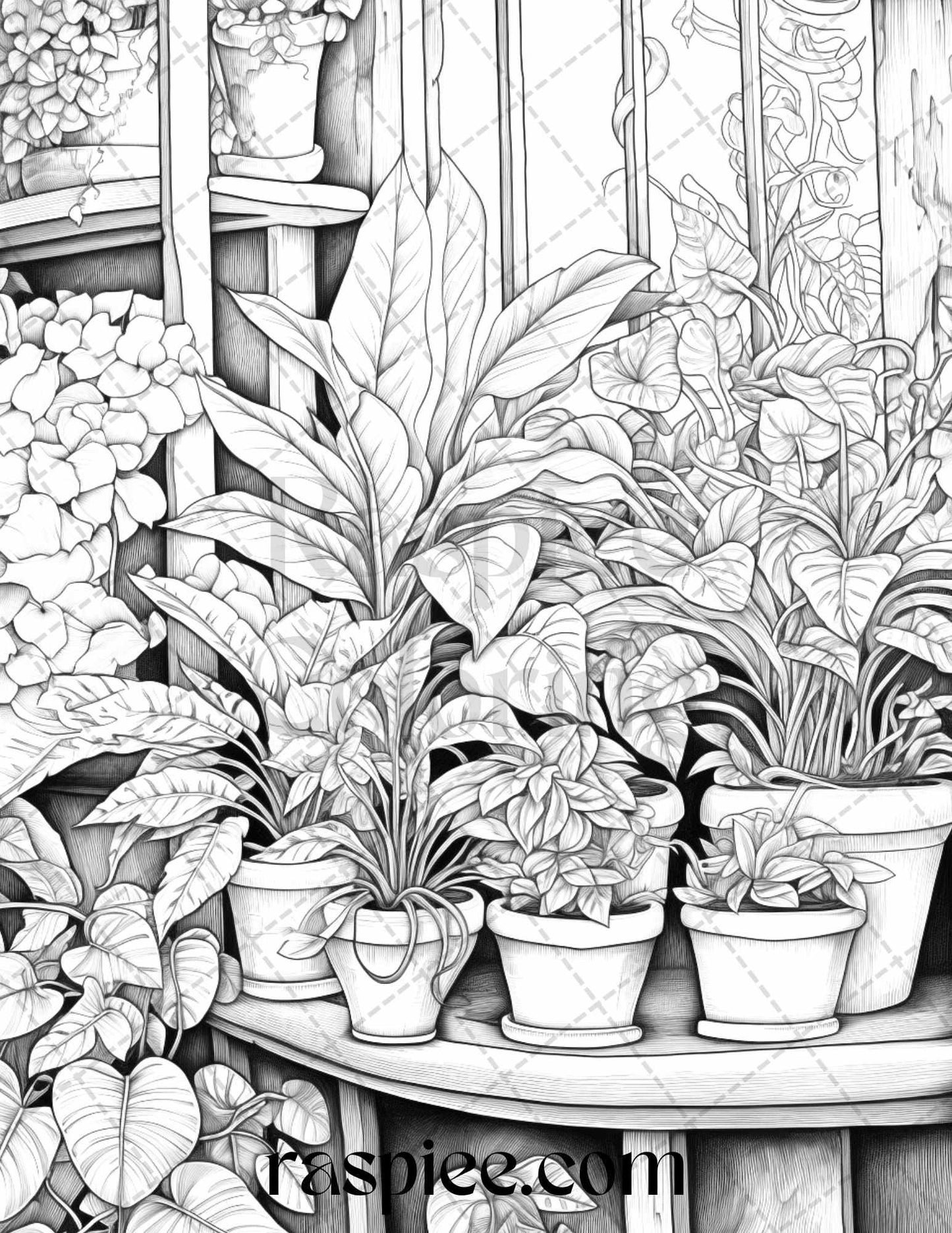 40 Window Plants Grayscale Coloring Pages Printable for Adults, PDF File Instant Download