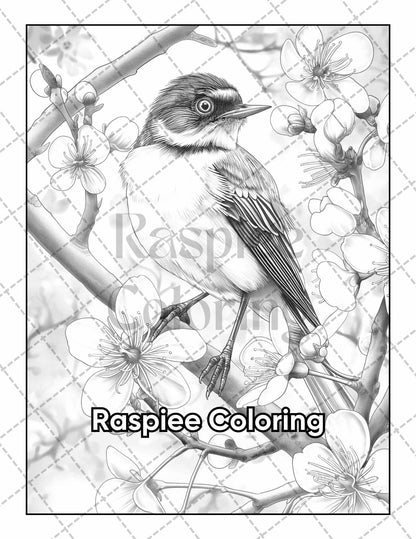 50 Beautiful Birds Adult Coloring Pages Printable PDF Instant Download