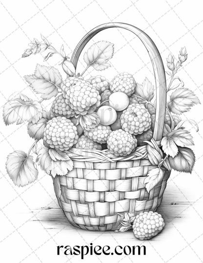 40 Fruit Basket Grayscale Coloring Pages Printable for Adults, PDF File Instant Download