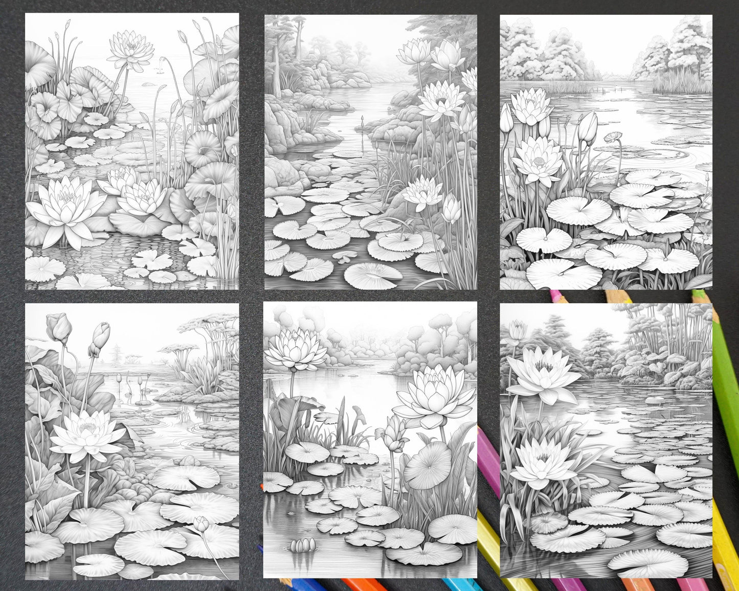 40 Lotus Pond Serenity Grayscale Adult Coloring Pages, Printable PDF Instant Download