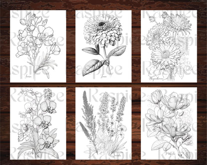 30 Botanical Flowers Printable Coloring Pages for Adults, Floral Grayscale Coloring Book, Printable PDF File Download