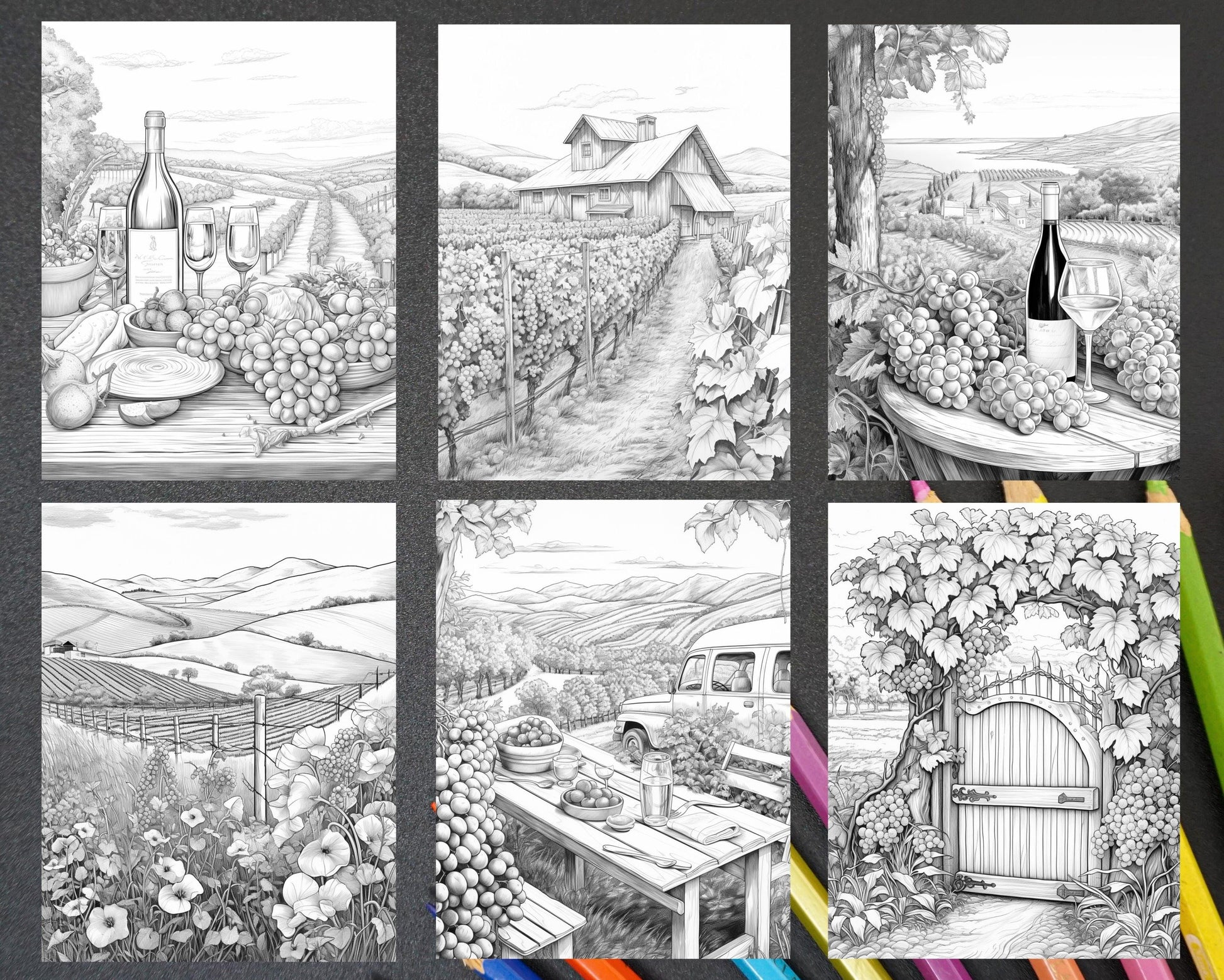 40 Spring Vineyard Grayscale Adult Coloring Pages, Printable PDF Instant Download