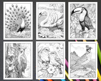 50 Beautiful Birds Adult Coloring Pages Printable PDF Instant Download