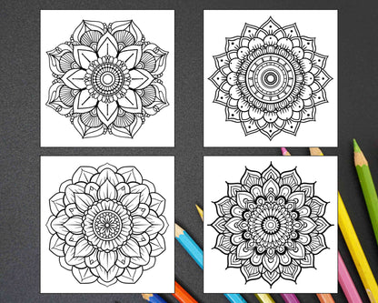 250 Mandala Adult Coloring Pages Vol.3