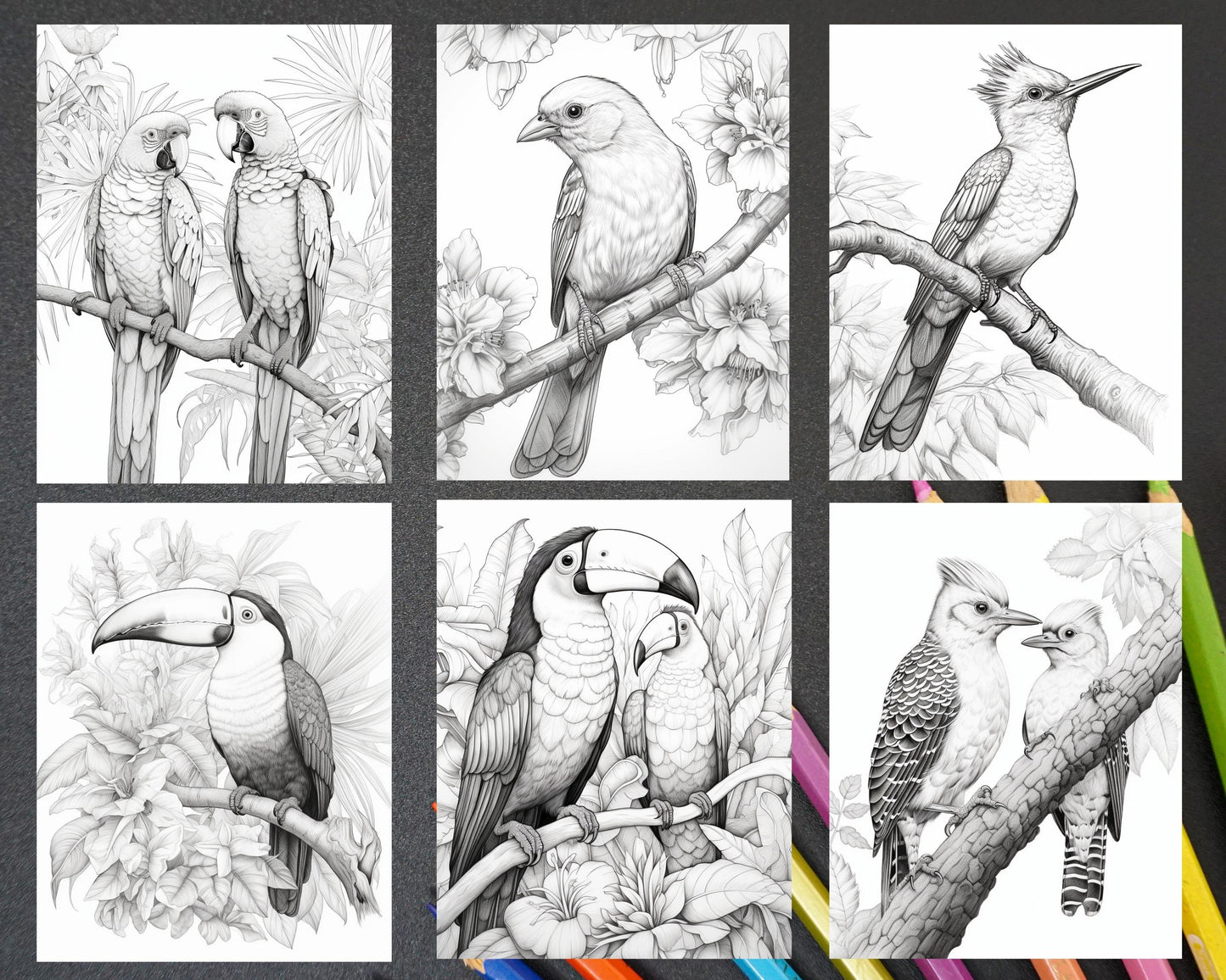 31 Tropical Birds Coloring Book for Adults, Grayscale Coloring Page, Printable PDF Instant Download