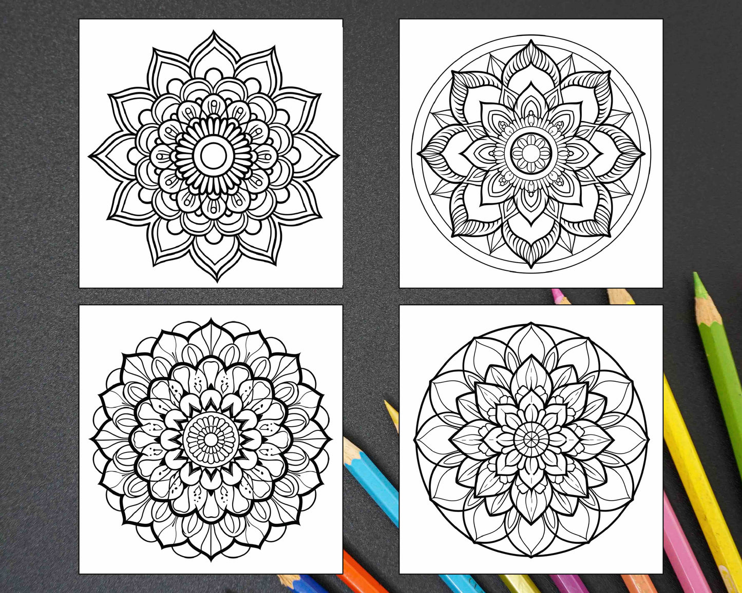 250 Mandala Adult Coloring Pages Vol.2