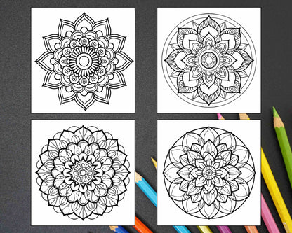 250 Mandala Adult Coloring Pages Vol.2