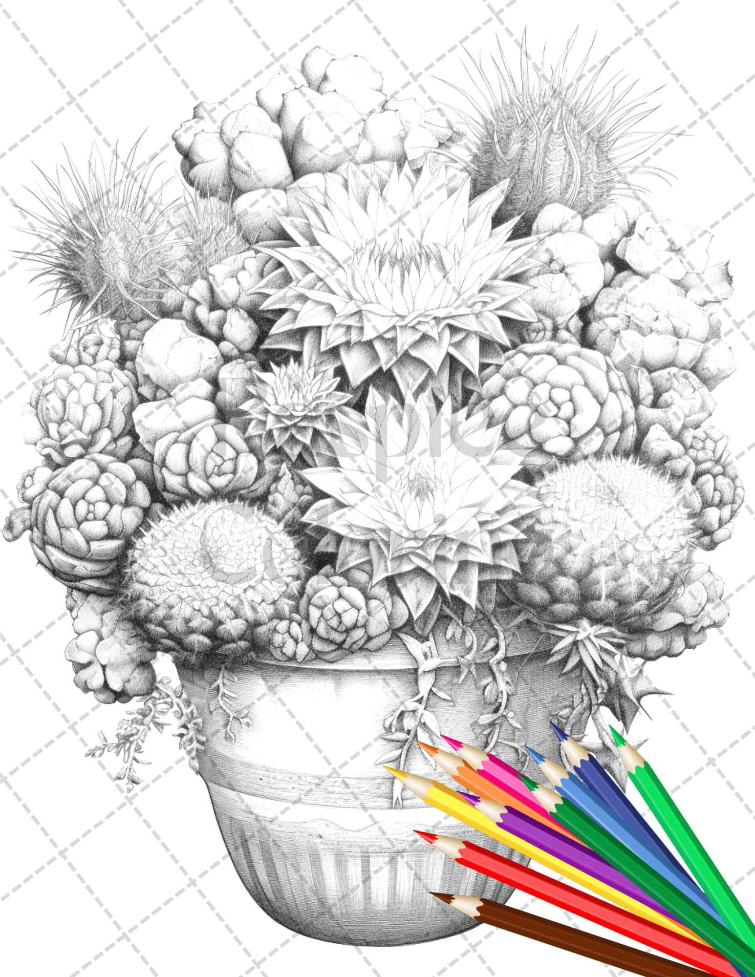 40 Charming Cactus Pots Grayscale Coloring Pages Printable for Adults, PDF File Instant Download