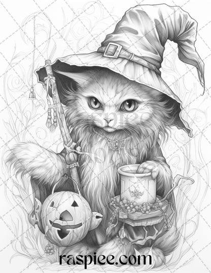 40 Halloween Witch Cat Grayscale Coloring Pages Printable for Adults, PDF File Instant Download