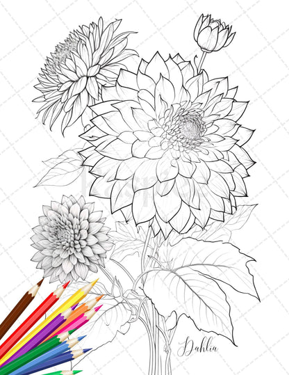 30 Botanical Flowers Printable Coloring Pages for Adults, Floral Grayscale Coloring Book, Printable PDF File Download