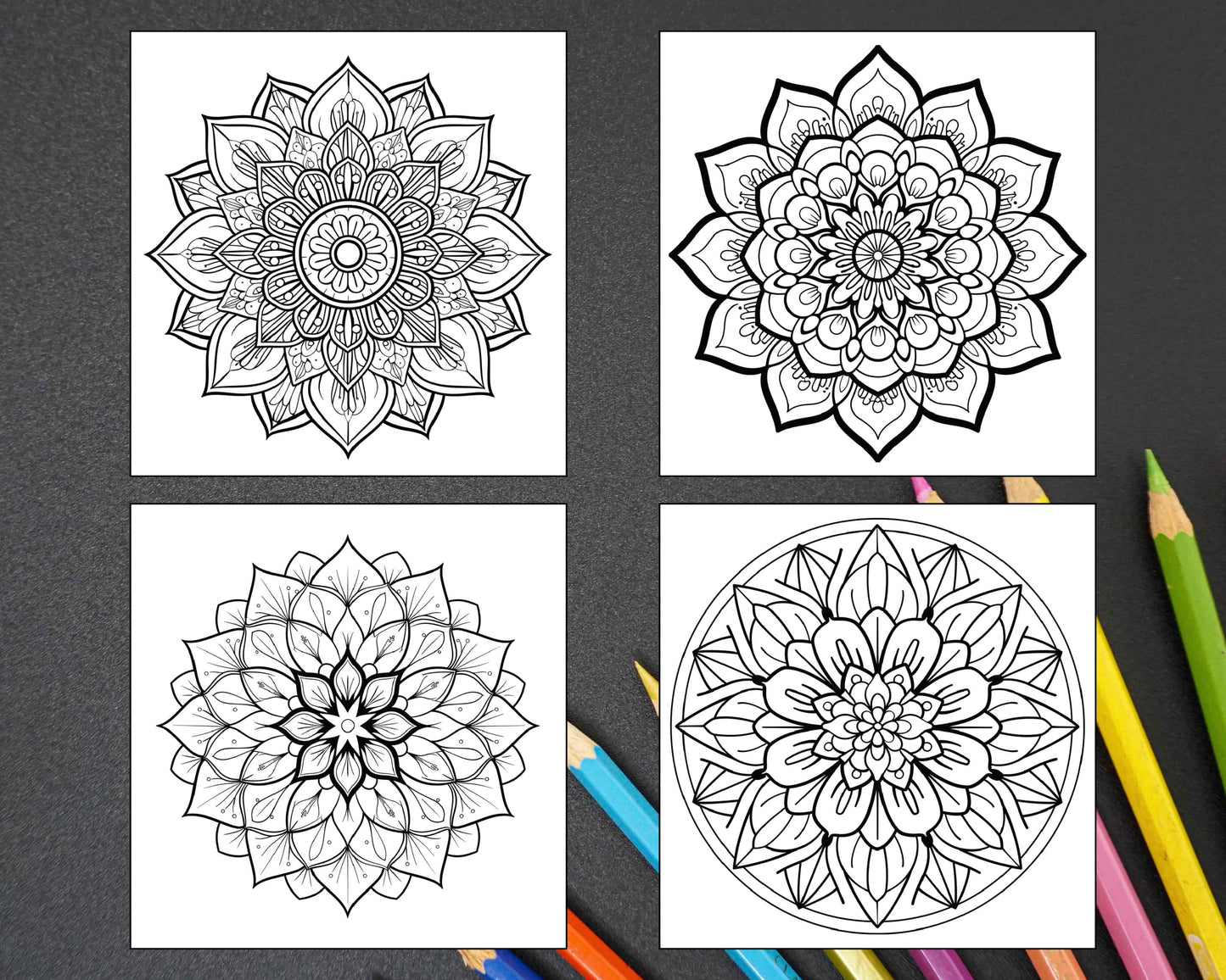 250 Mandala Adult Coloring Pages Vol.1