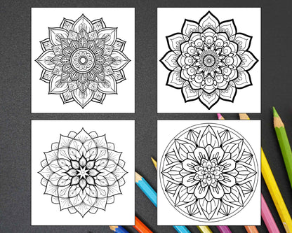 250 Mandala Adult Coloring Pages Vol.1