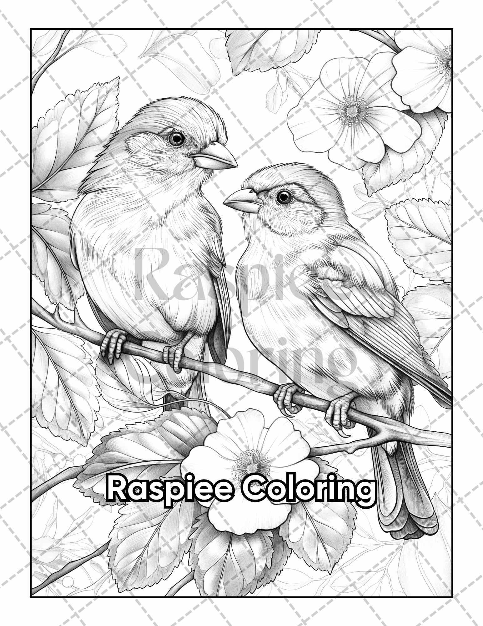 50 Beautiful Birds Adult Coloring Pages Printable PDF Instant Download