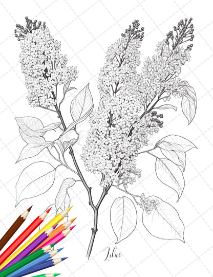 30 Botanical Flowers Printable Coloring Pages for Adults, Floral Grayscale Coloring Book, Printable PDF File Download