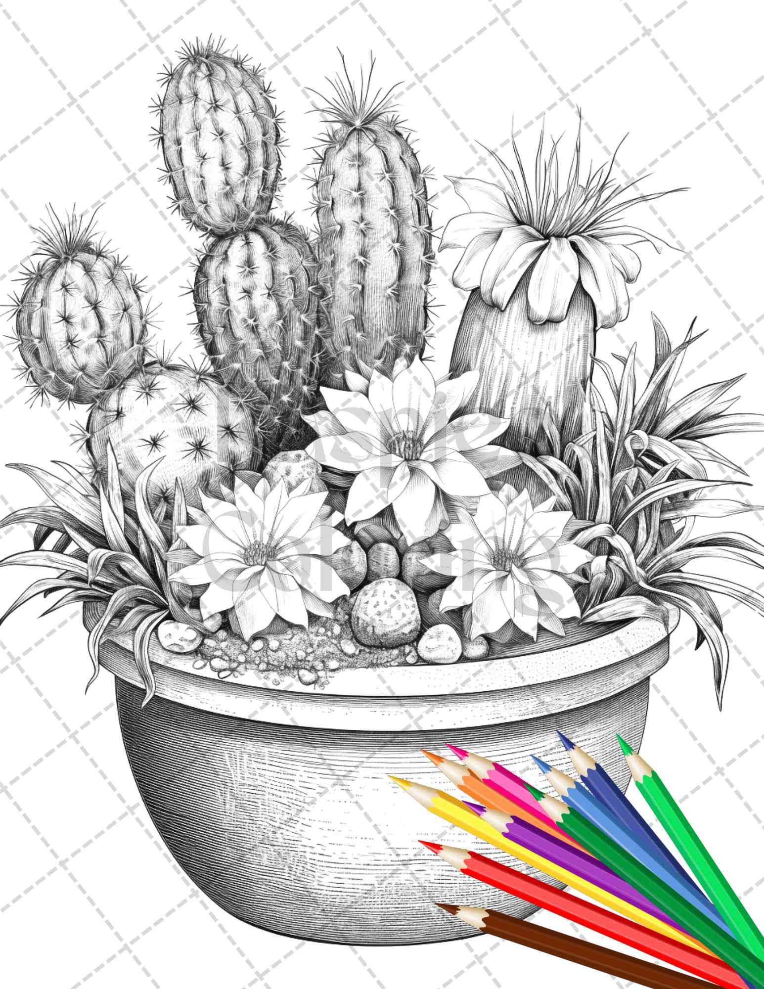 40 Charming Cactus Pots Grayscale Coloring Pages Printable for Adults, PDF File Instant Download