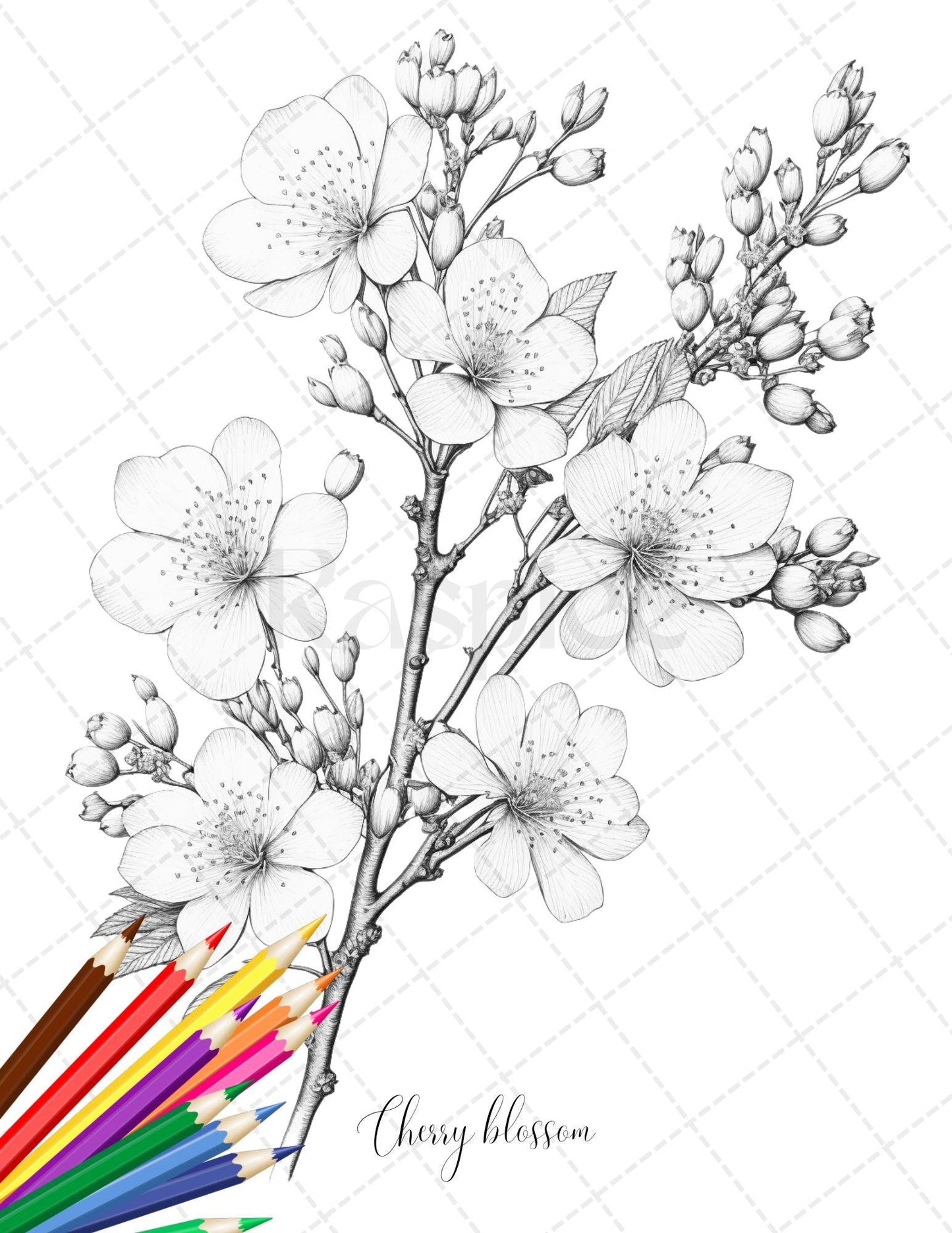 30 Botanical Flowers Printable Coloring Pages for Adults, Floral Grayscale Coloring Book, Printable PDF File Download