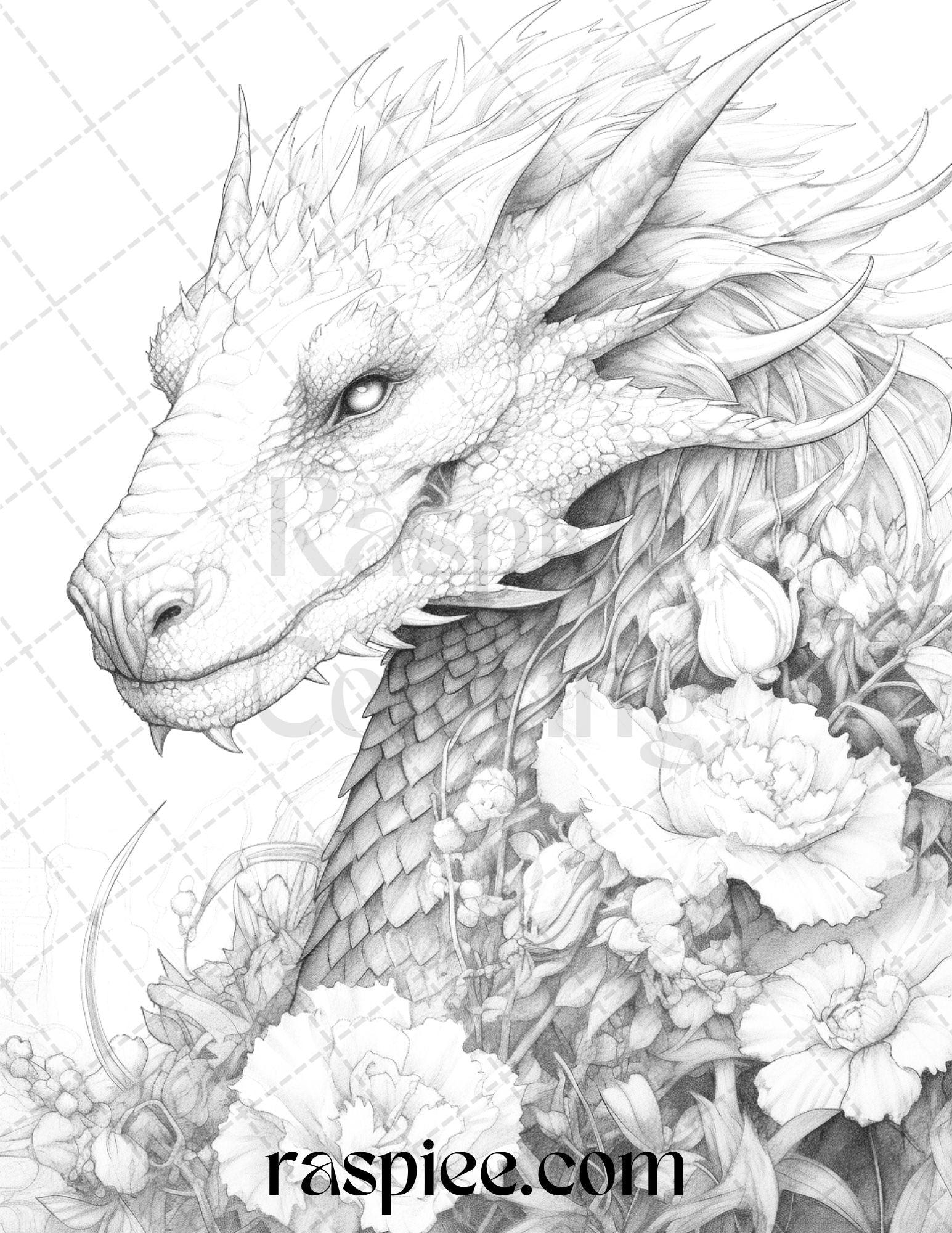 40 Flower Dragon Grayscale Coloring Pages Printable for Adults, PDF File Instant Download