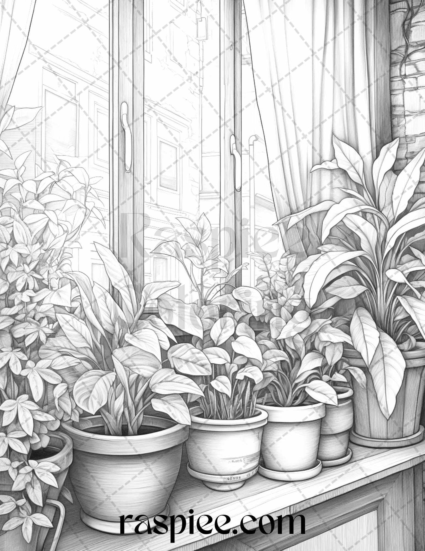 40 Window Plants Grayscale Coloring Pages Printable for Adults, PDF File Instant Download