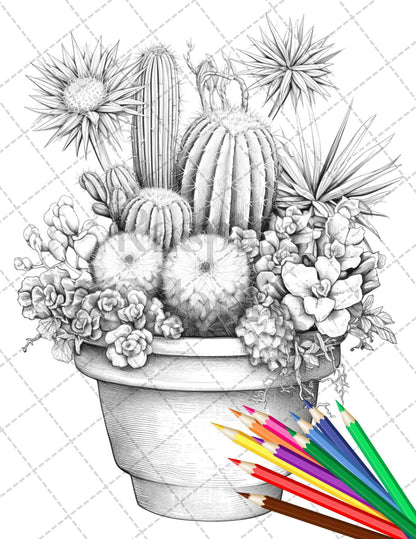 40 Charming Cactus Pots Grayscale Coloring Pages Printable for Adults, PDF File Instant Download