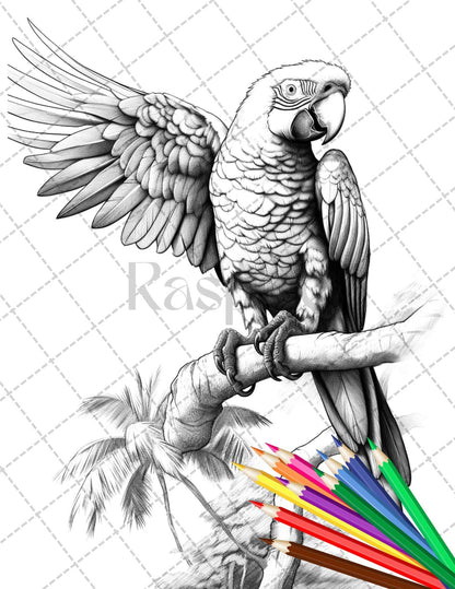 31 Tropical Birds Coloring Book for Adults, Grayscale Coloring Page, Printable PDF Instant Download