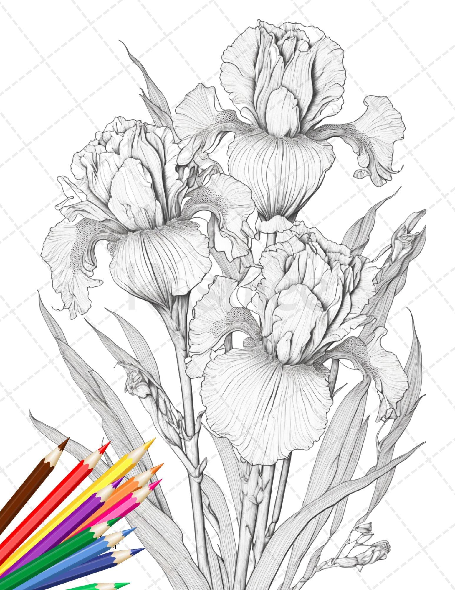 30 Botanical Flowers Printable Coloring Pages for Adults, Floral Grayscale Coloring Book, Printable PDF File Download