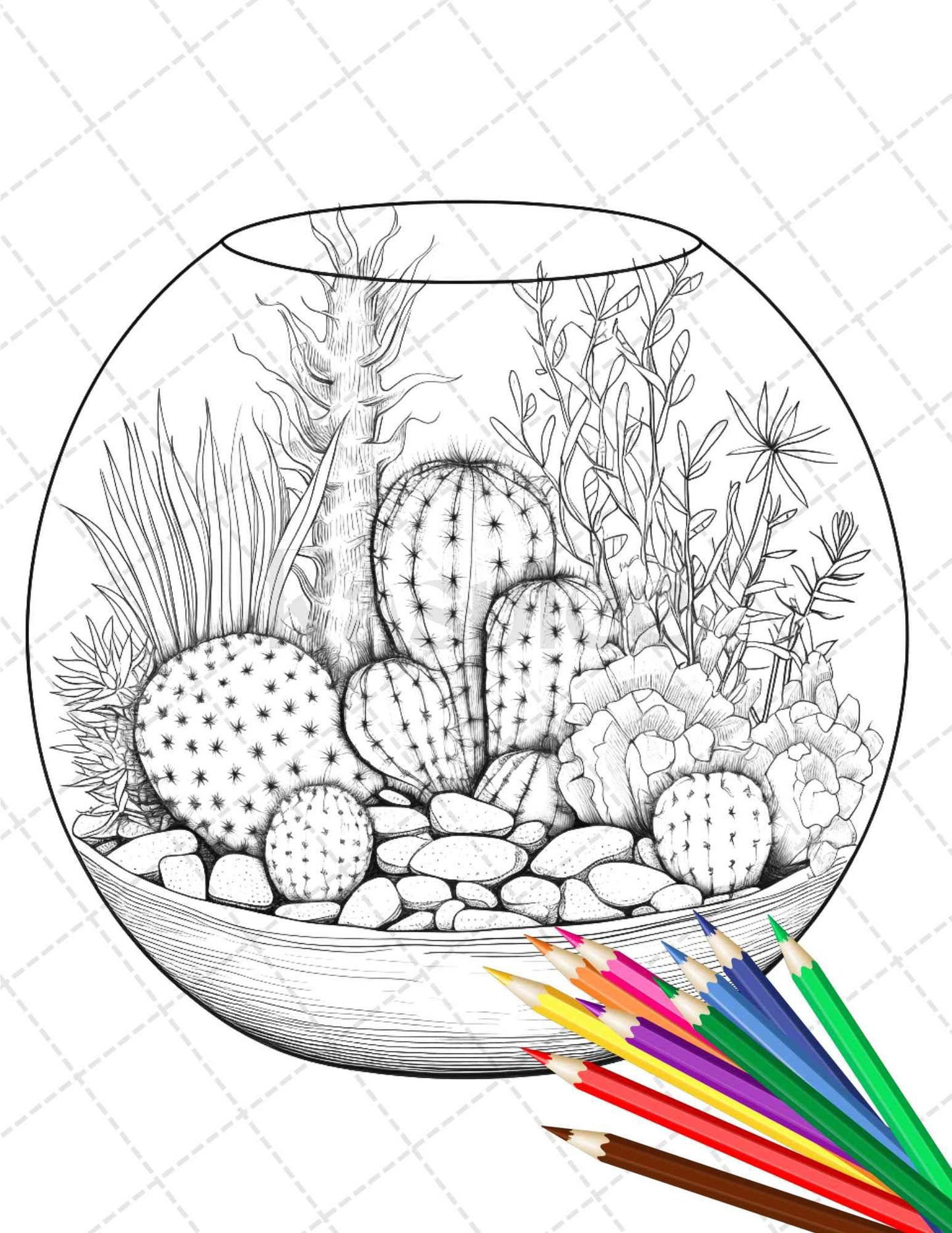 34 Enchanted Terrarium Grayscale Coloring Pages Printable for Adults, PDF File Instant Download