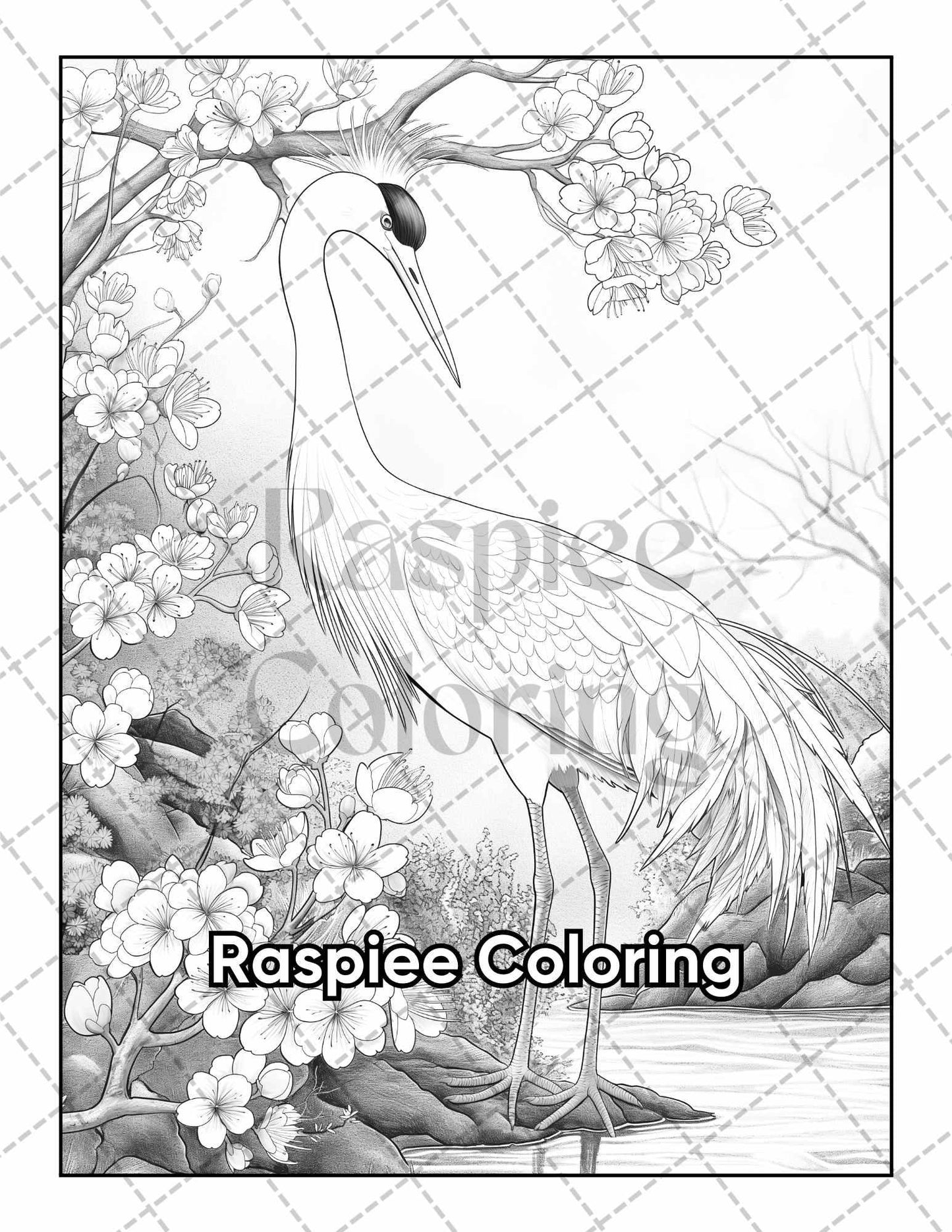 50 Beautiful Birds Adult Coloring Pages Printable PDF Instant Download