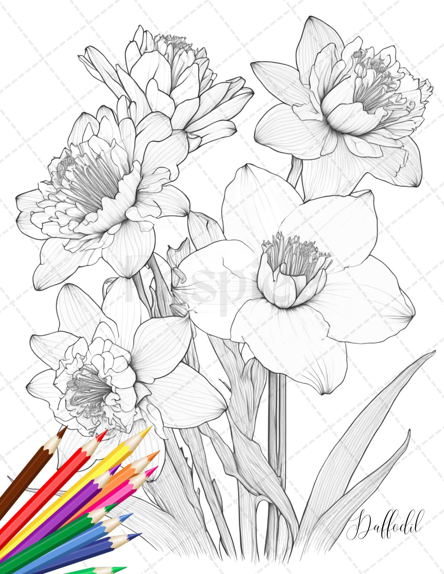 30 Botanical Flowers Printable Coloring Pages for Adults, Floral Grayscale Coloring Book, Printable PDF File Download