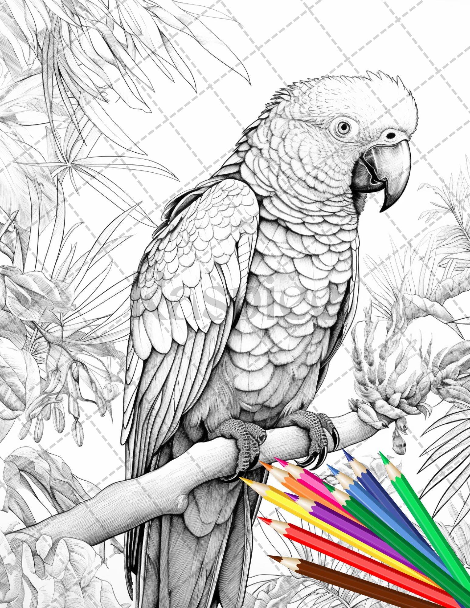 31 Tropical Birds Coloring Book for Adults, Grayscale Coloring Page, Printable PDF Instant Download