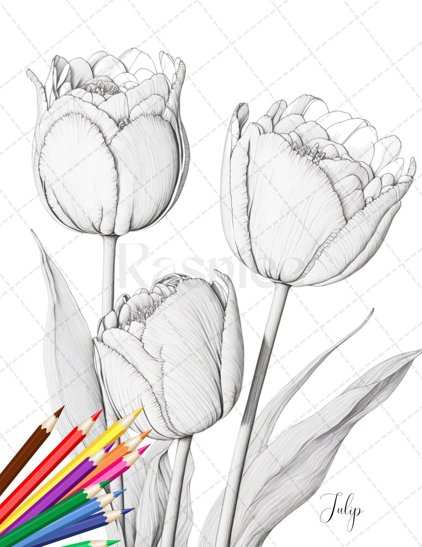 30 Botanical Flowers Printable Coloring Pages for Adults, Floral Grayscale Coloring Book, Printable PDF File Download