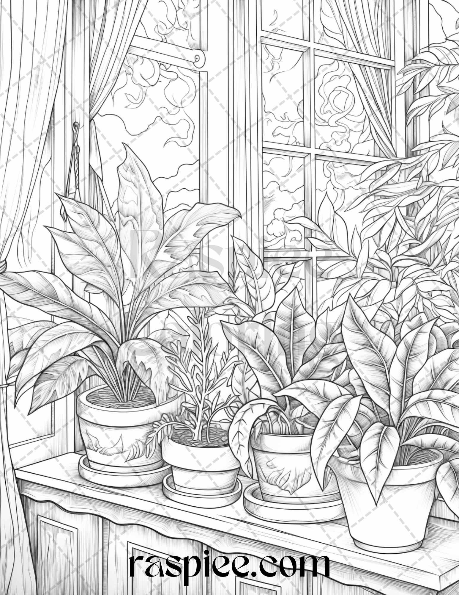 40 Window Plants Grayscale Coloring Pages Printable for Adults, PDF File Instant Download