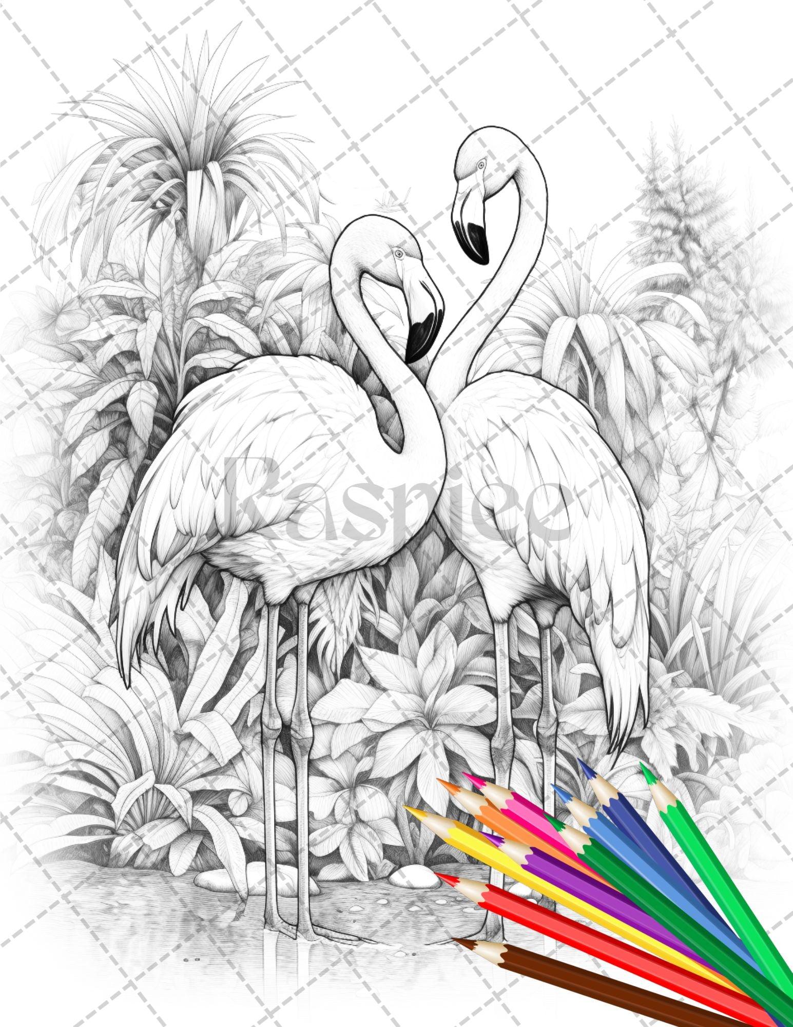 31 Tropical Birds Coloring Book for Adults, Grayscale Coloring Page, Printable PDF Instant Download