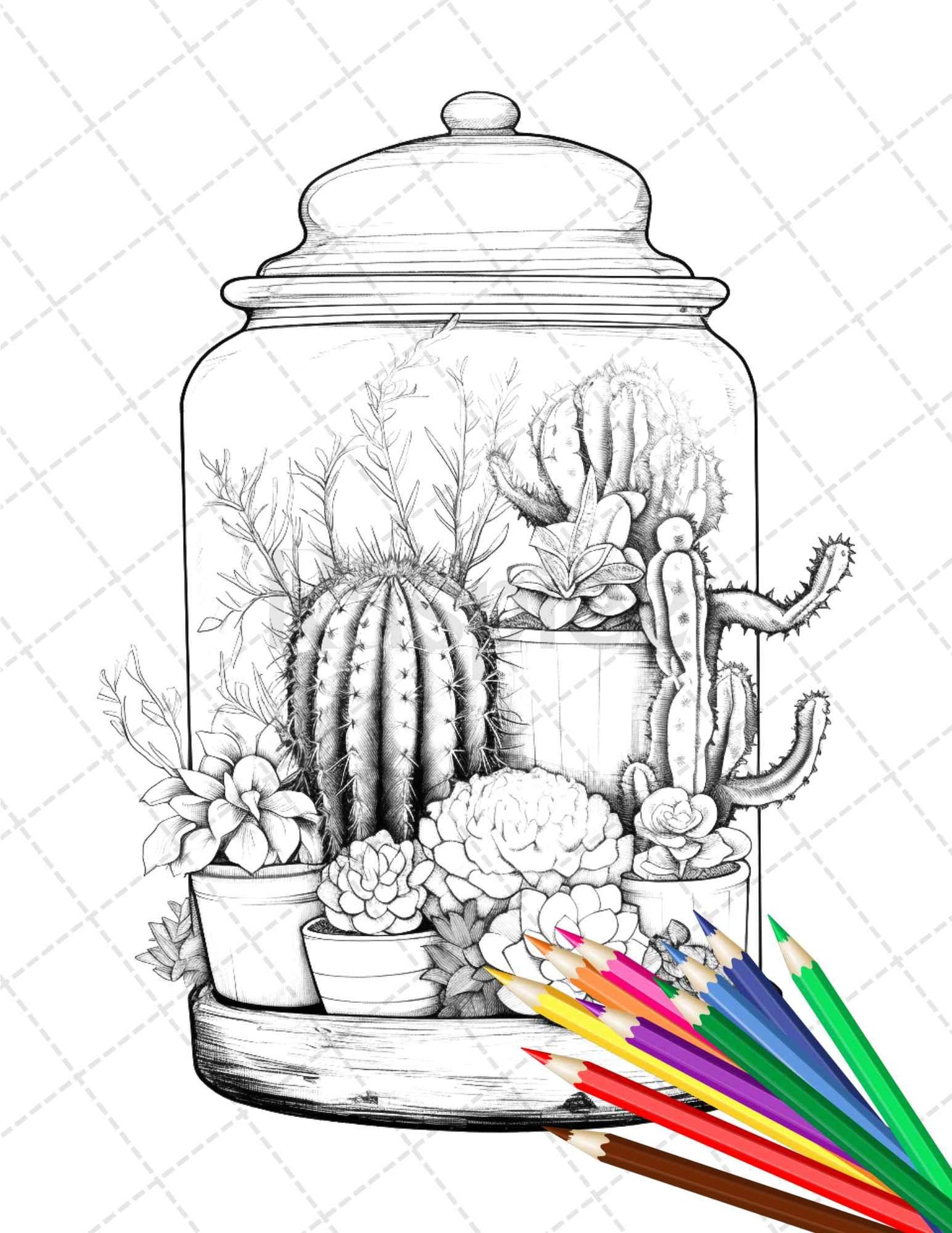 34 Enchanted Terrarium Grayscale Coloring Pages Printable for Adults, PDF File Instant Download